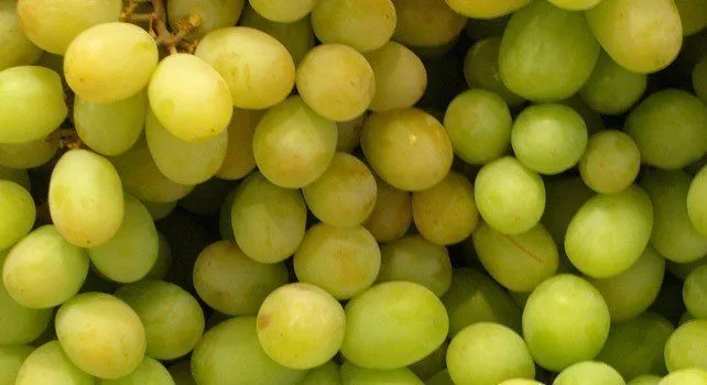 Facts About Grapes