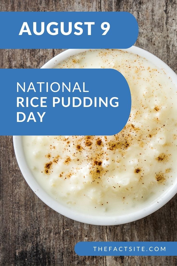 National Rice Pudding Day August 9 The Fact Site