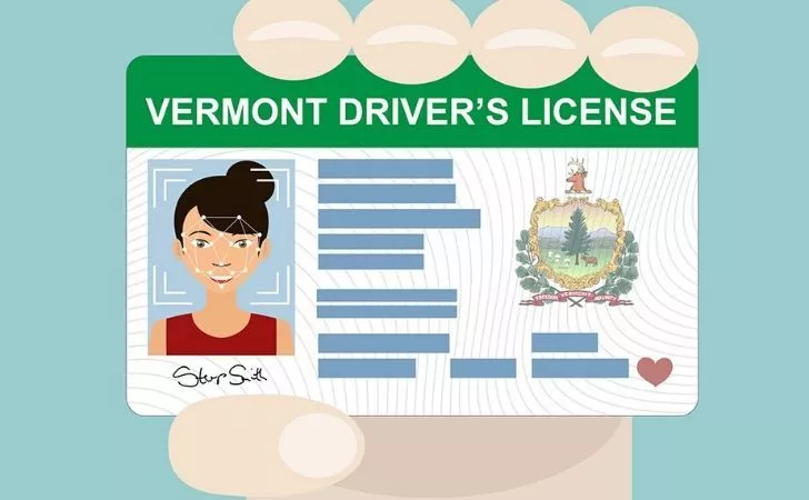 Cartoon image of a US driver's license