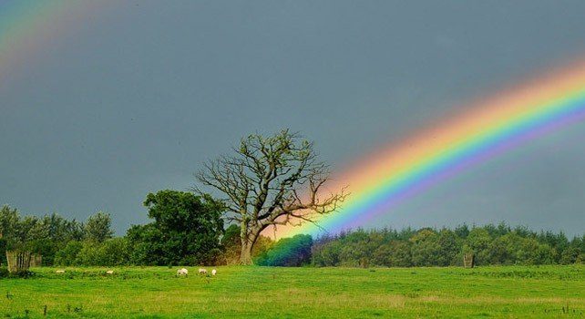 Facts About Rainbows - The Fact Site