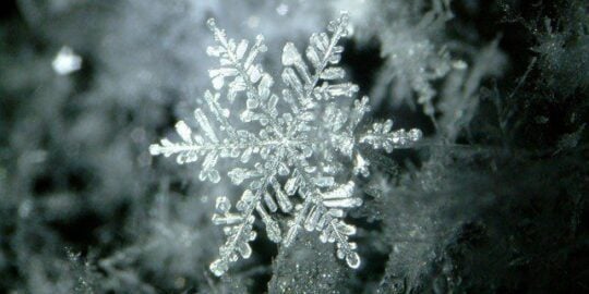 Cool Facts About Snowflakes