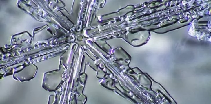 Closeup of a large beautiful snowflake