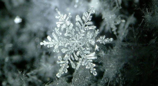 Cool Facts About Snowflakes - The Fact Site