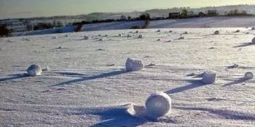 Giant Self Rollin Snowball