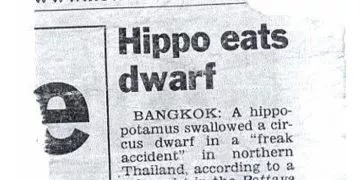Hippo Eats Dwarf