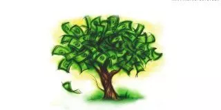 Money Tree - Wealth Statistics