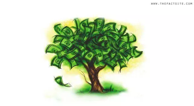 Money Tree - Wealth Statistics