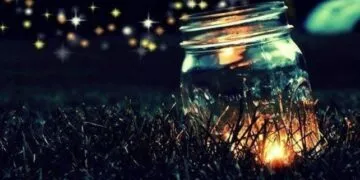 Fireflies In A Jar