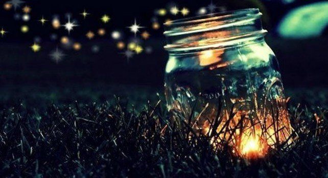 Fireflies In A Jar