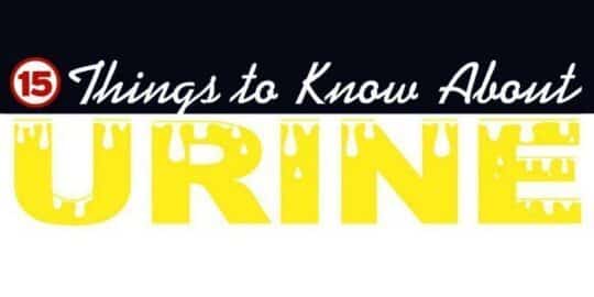 15 Facts About Urine InfoGraphic