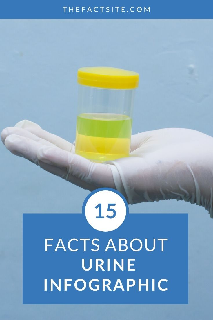 15 Facts About Urine InfoGraphic