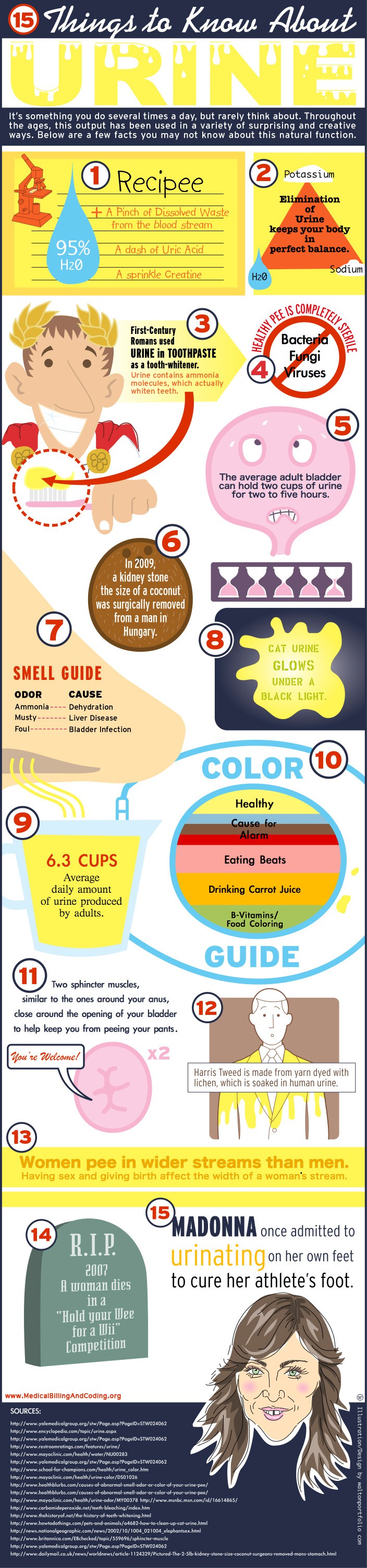 Urine Facts Infographic