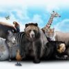 Random Animal Facts