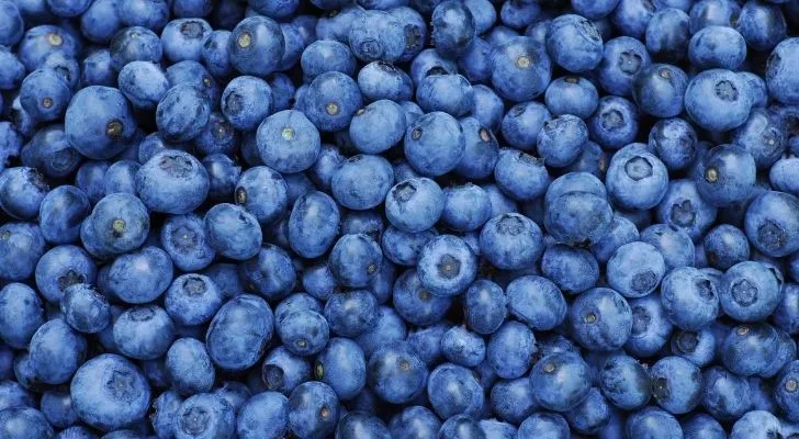 Blueberries - peoples favourite blue colored food