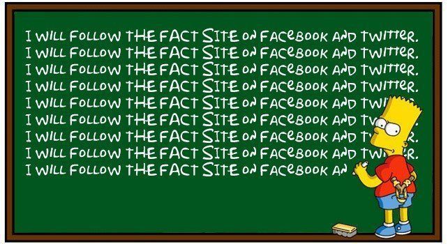 Facts About Bart Simpson The Fact Site