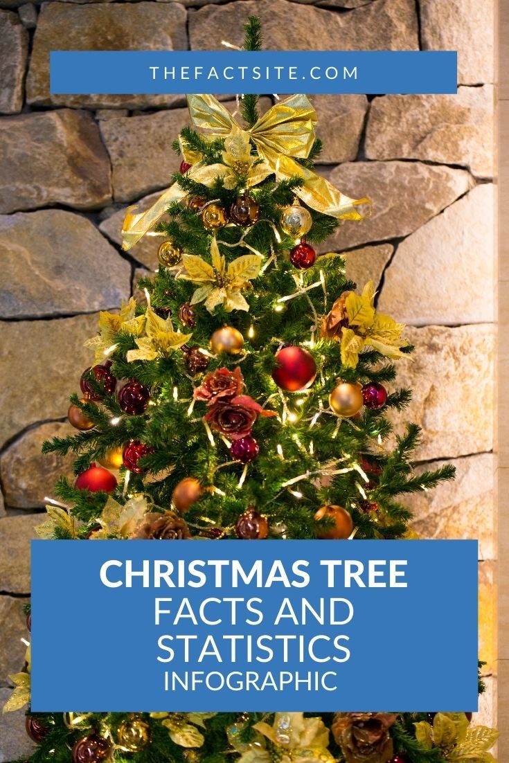 Christmas Tree Facts and Statistics InfoGraphic The Fact Site