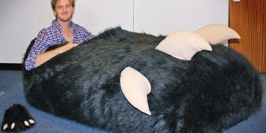 The World’s Biggest Slipper