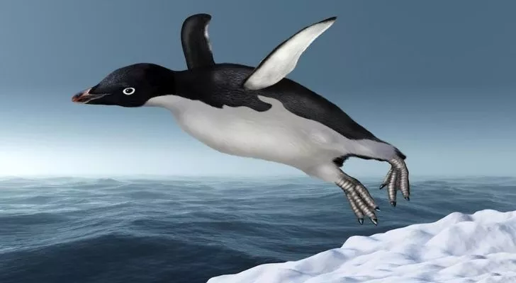A flying penguin