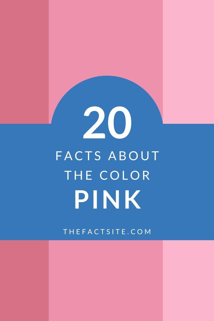 What does the color pink mean in government The Meaning Of Color