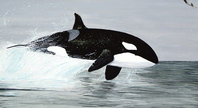Whale Facts