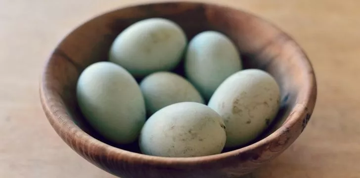 A bowl with six blue eggs.