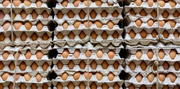 Lots of trays of eggs.