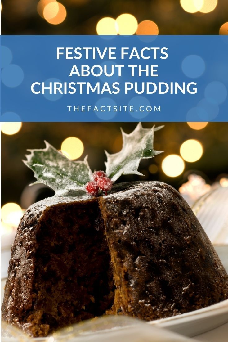 Festive Facts About The Christmas Pudding The Fact Site