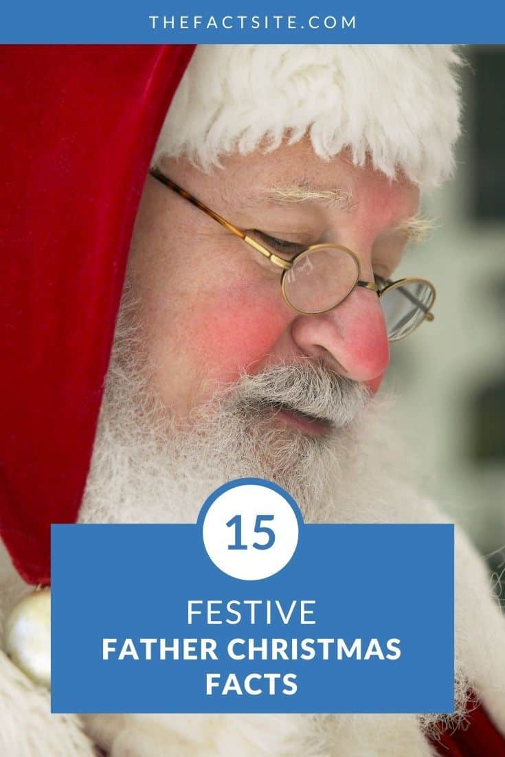 FATHER CHRISTMAS FACTS visual data 7