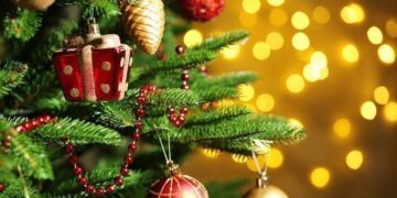 Unusual Christmas Facts