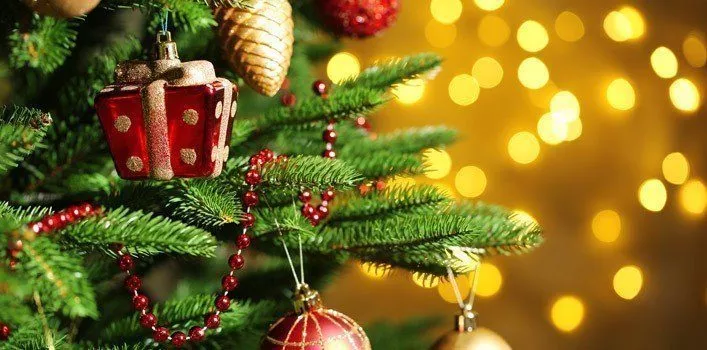 Unusual Christmas Facts