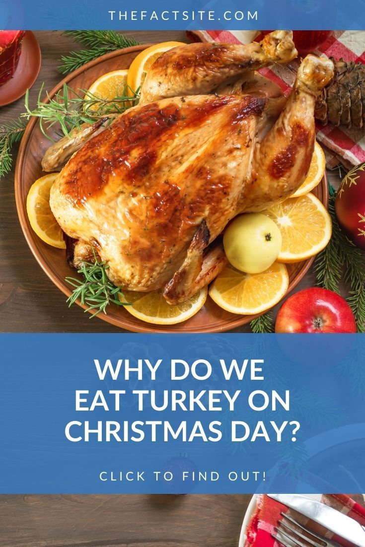Why Do We Eat Turkey on Christmas Day? The Fact Site