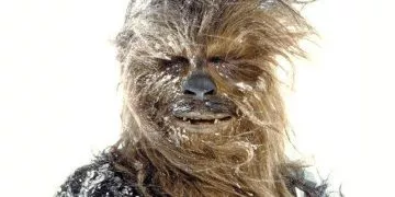 Chewbacca Facts