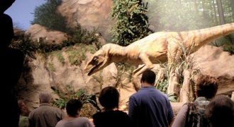 The Creation Museum