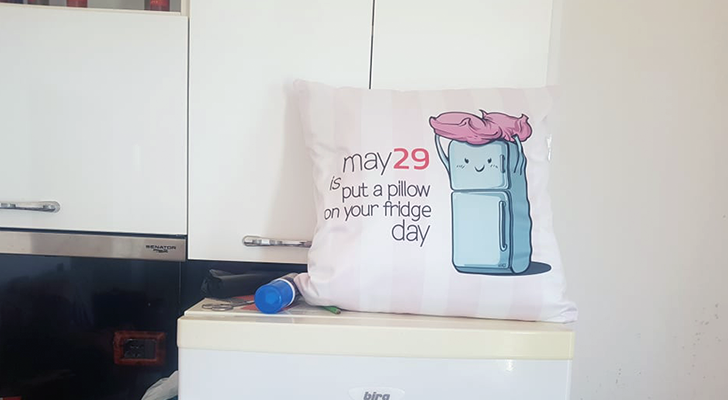 #PutAPillowOnYourFridgeDay