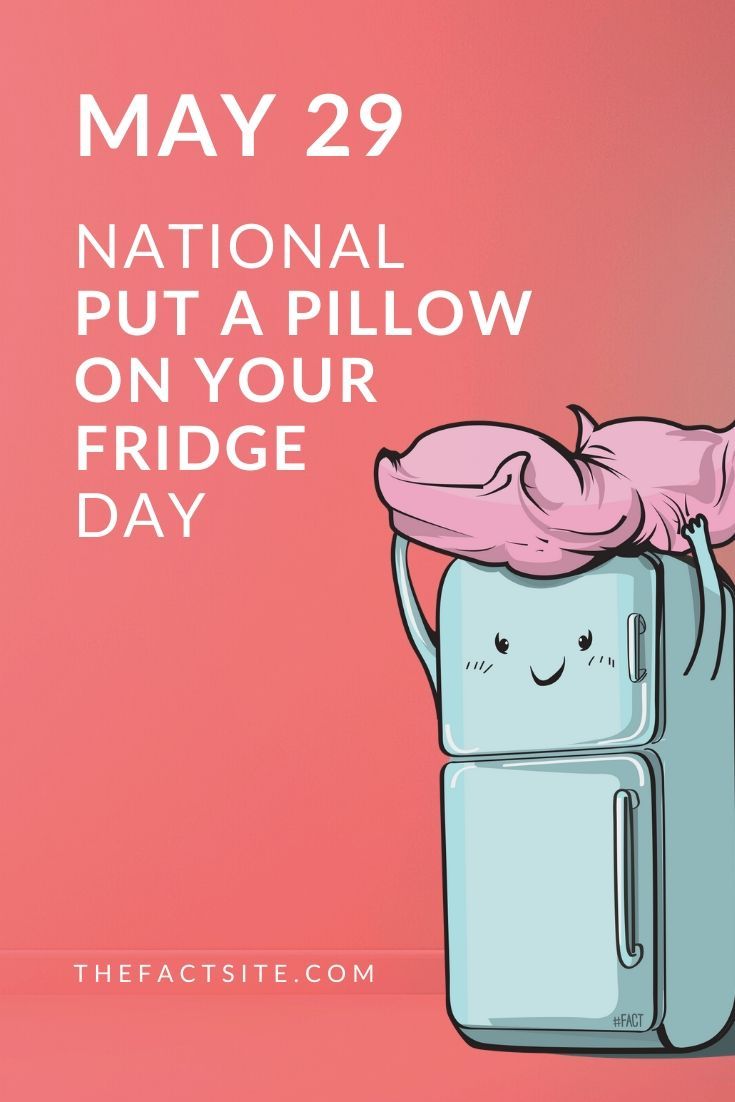 Put A Pillow On Your Fridge Day May 29 The Fact Site