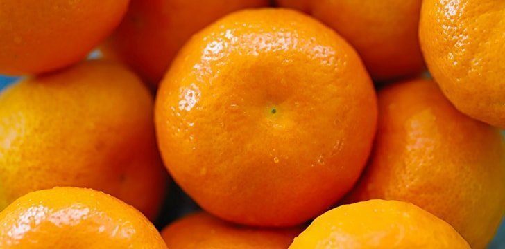 clementine vs mandarin vs tangerine clementine vs mandarin vs tangerine
