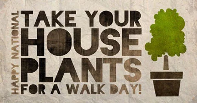 Take Your Houseplants for a Walk Day