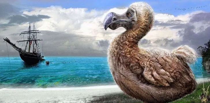 A dodo sitting on the beach looking over to a ship on the sea