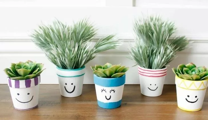 Houseplants in pots with smiling faces on them