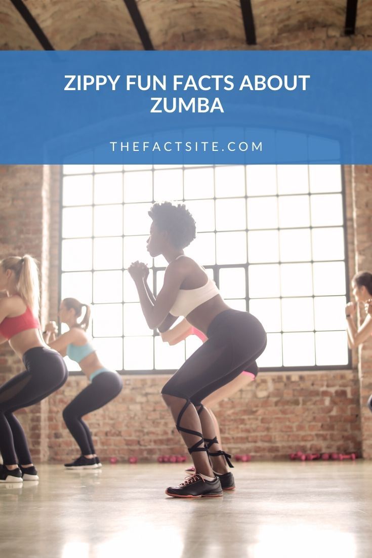 Zippy Fun Facts About Zumba The Fact Site