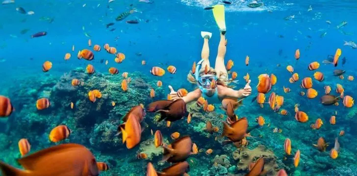 A girl snorkelling under water in the Maldives