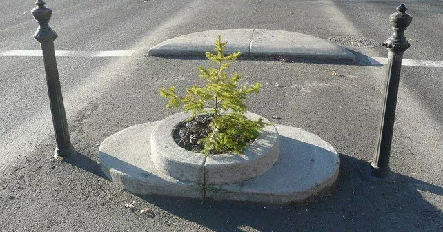 Mills End Park - Smallest Park In the World