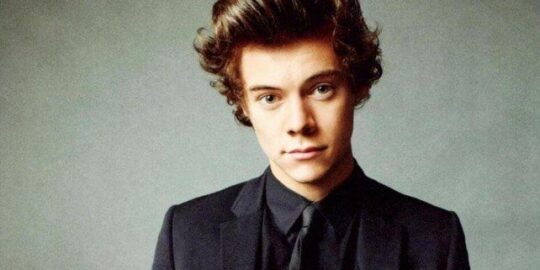 Harry Styles Hair Facts