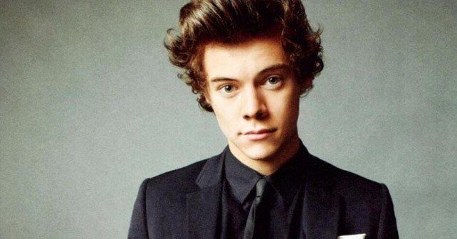 Harry Styles Hair Facts