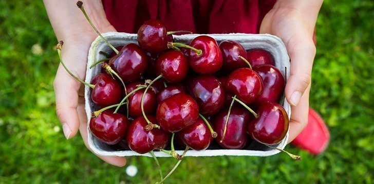 Cherries contain antioxidants.