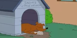 Santa's Little Helper Facts