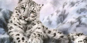 Cool Facts About Snow Leopards