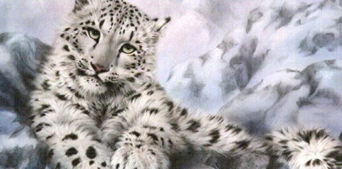 Cool Facts About Snow Leopards