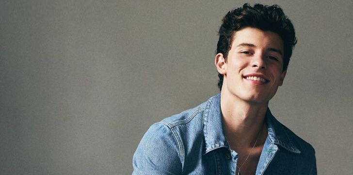 Shawn Mendes Facts