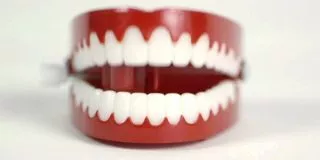 10 Crazy Teeth Facts